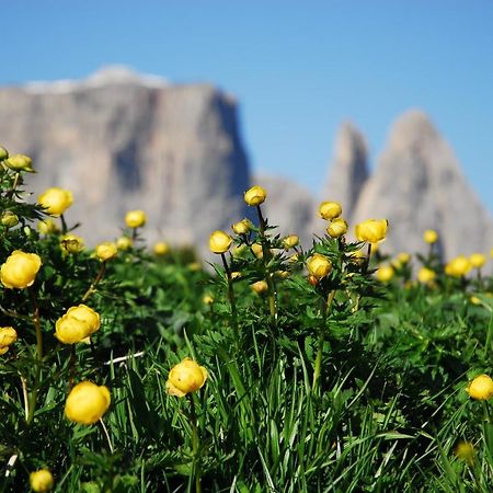 Appartamento Haus Fulterer Siusi Esterno foto